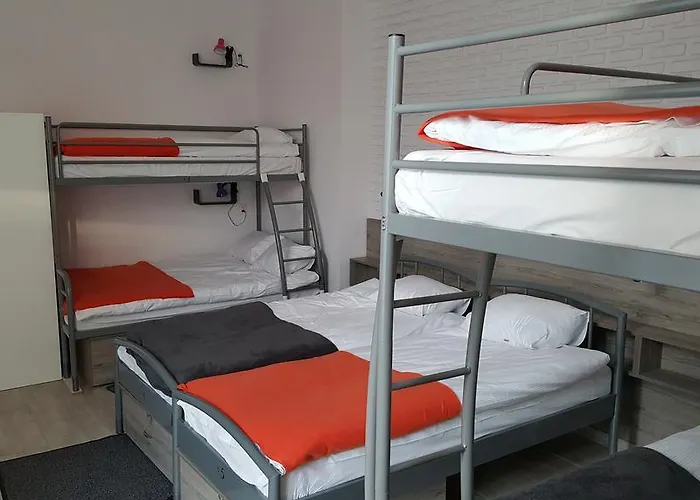 旅馆 洛斯卡11号旅舍 *